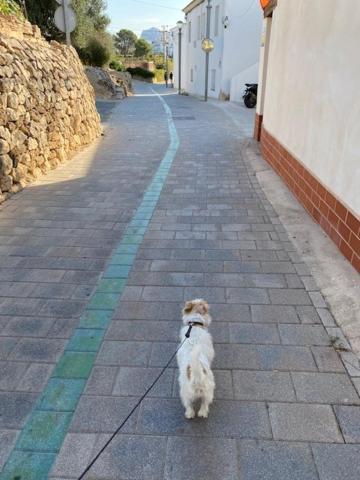 Altea Beachgate - Acceso Privado A La Playa Buitenkant foto